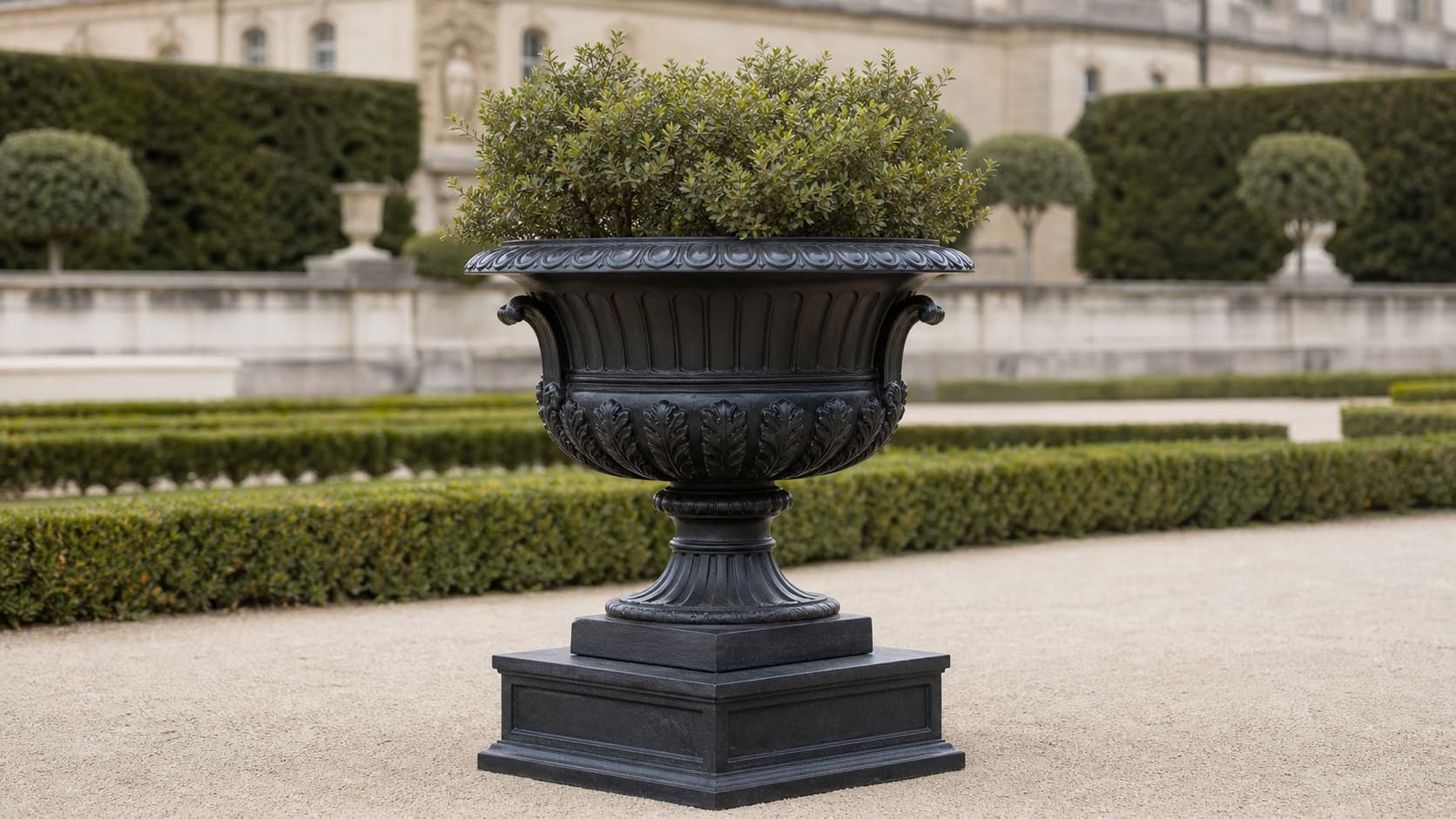 Vaso dei medici